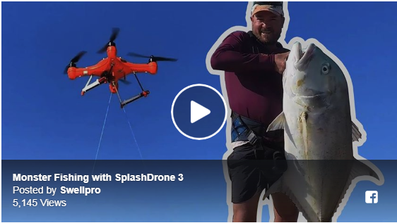 Fishing and Shark Catching and Releasing with Splash Drone 3